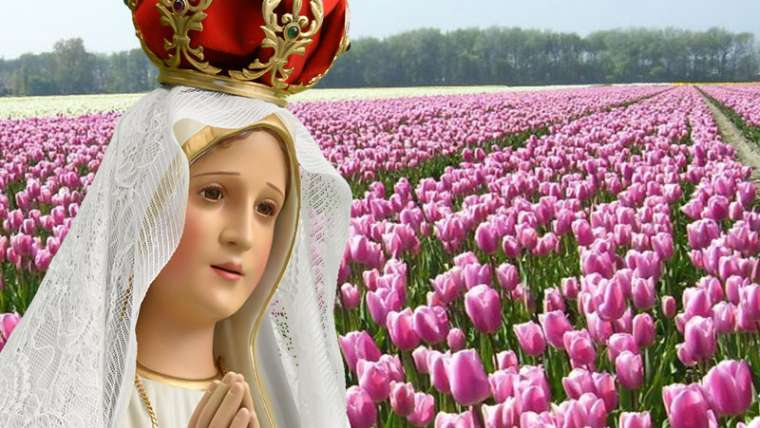 Oração: Nossa Senhora  de Fátima, o extremo sacrossanto