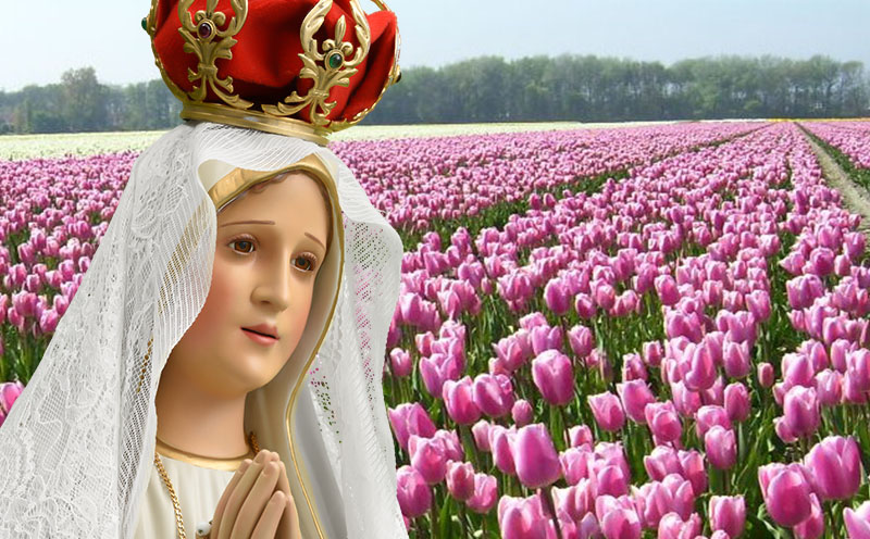 Oração: Nossa Senhora  de Fátima, o extremo sacrossanto