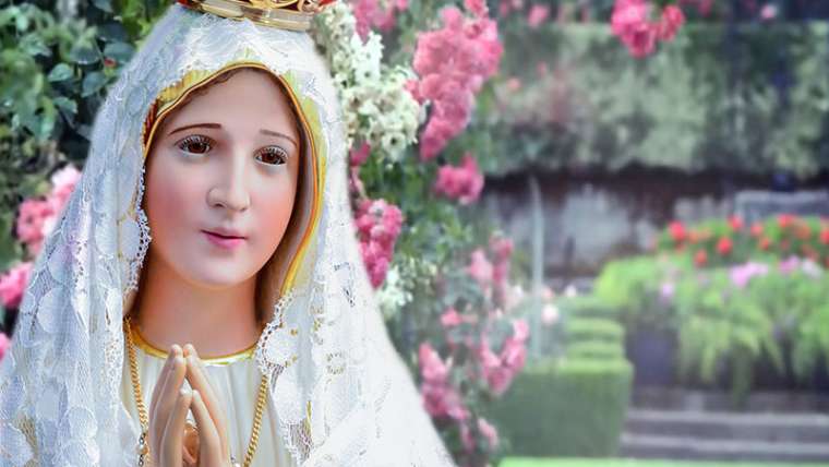 Apóstolo da mediação universal de Maria