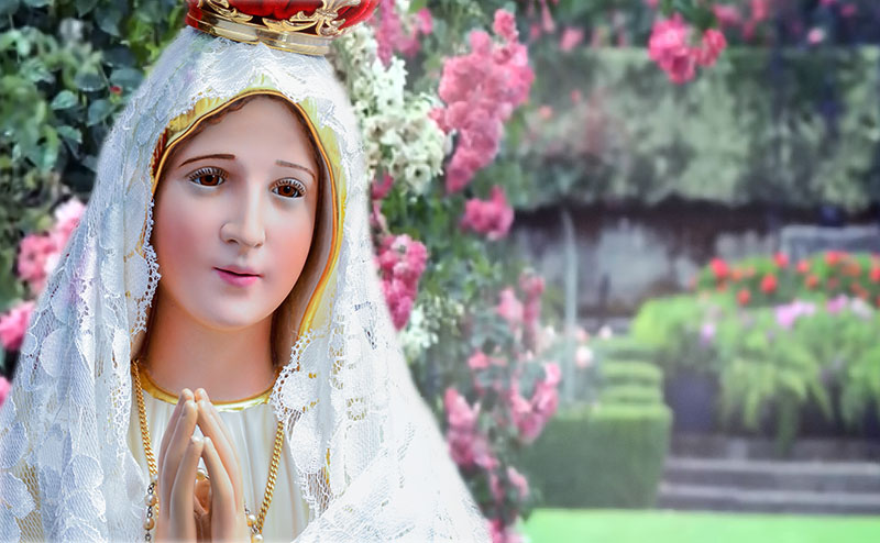 Apóstolo da mediação universal de Maria
